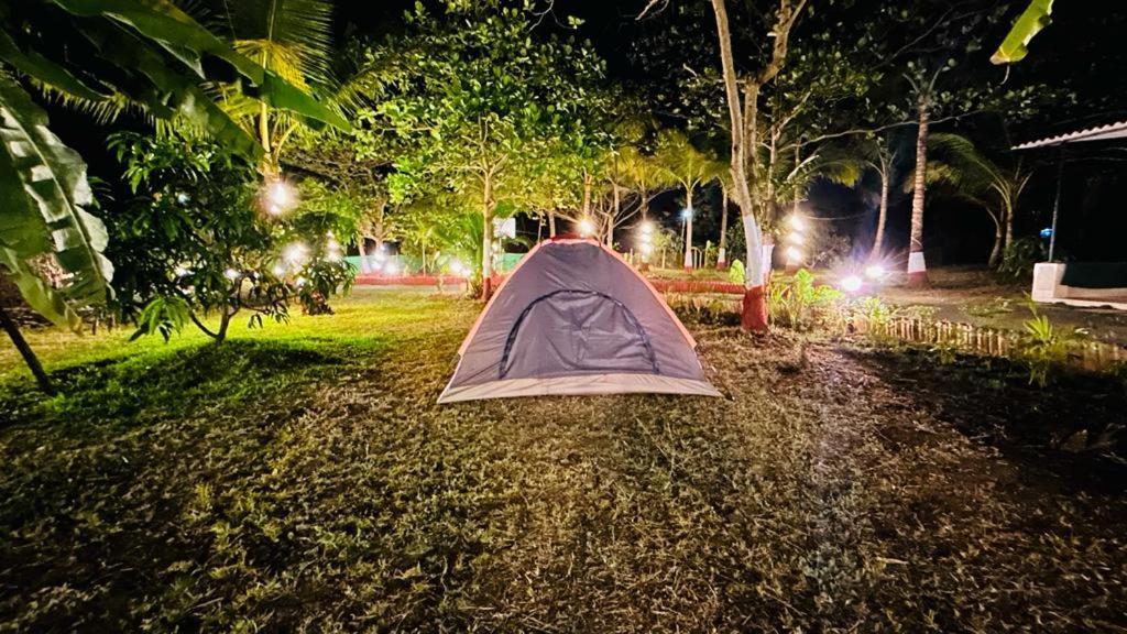 Stay On The Way Resort Mandwa Alibag Alibaug Exterior foto